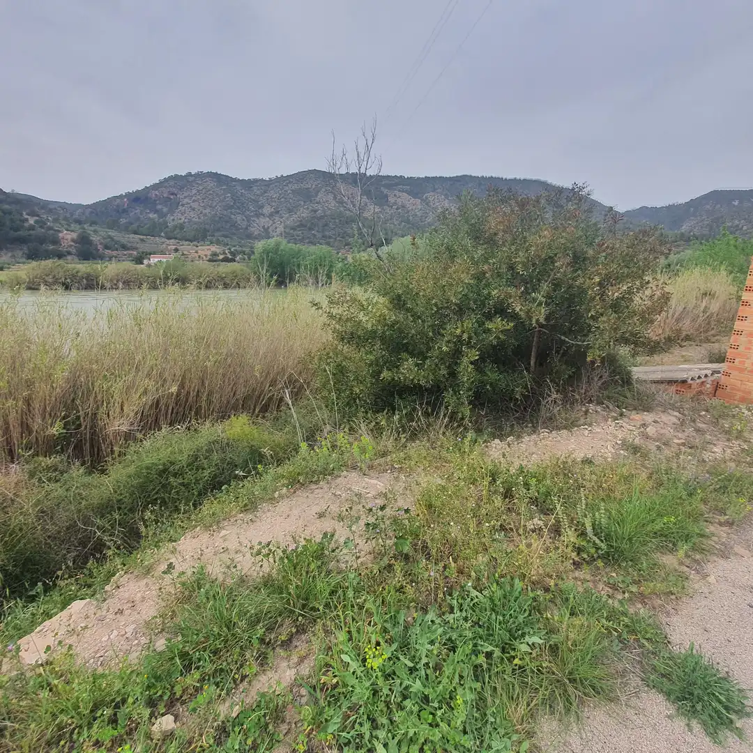 Terreno rústico en venta en Benifallet, imagen 4