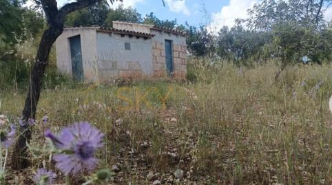 Photo 5 of Land for sale in Diseminado Poligono 9, Zona Periurbana, Illes Balears