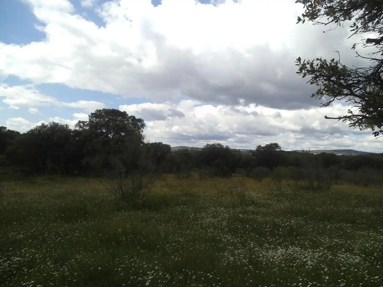 Residencial en venda en Valdemorillo