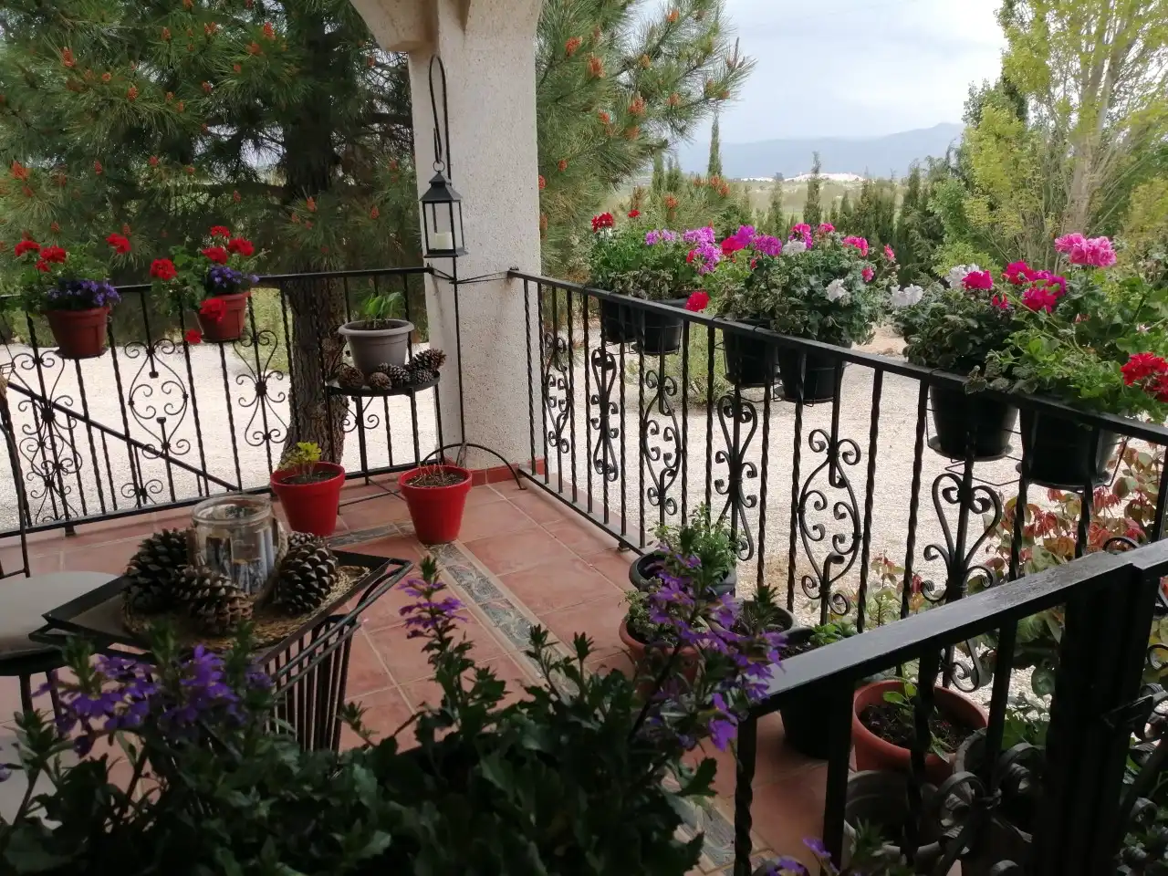 Terraza de Finca rústica en venta en Jarafuel con Calefacción, Jardín privado y Amueblado