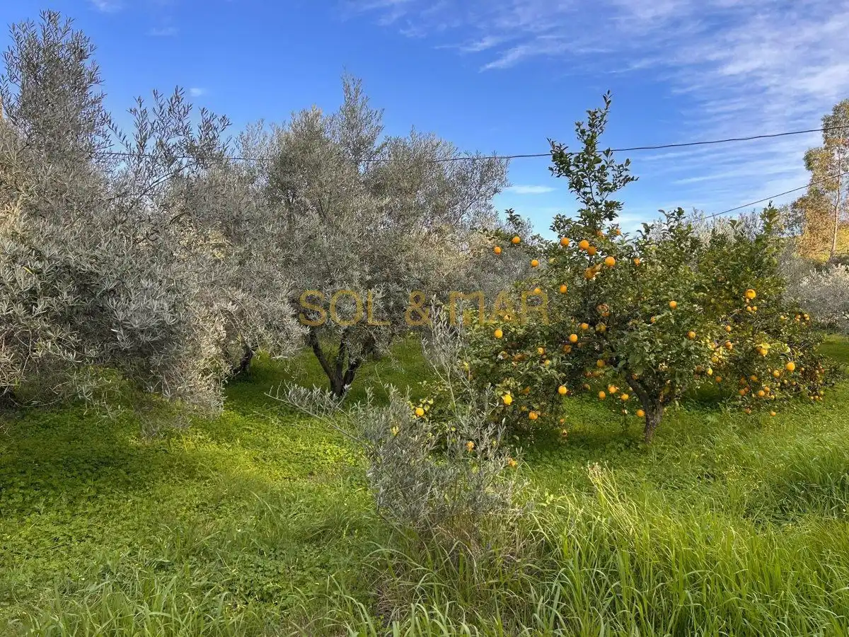 Casa rústica en venta en Nueva Aljaima - Las Tres Leguas - Los Mondeños, imagen 7