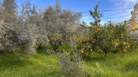 Foto 5 de Finca rústica en venta en N/a, Nueva Aljaima - Las Tres Leguas - Los Mondeños, Cártama