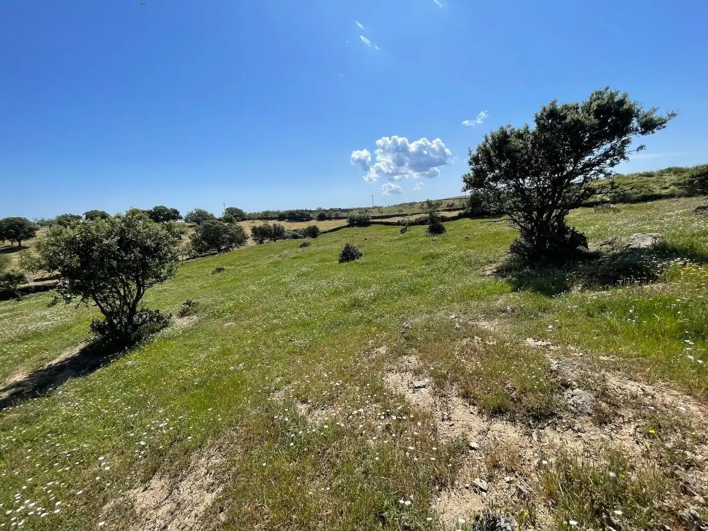 Terreni e lotti in vendita a Garrovillas de Alconétar, imagen 5