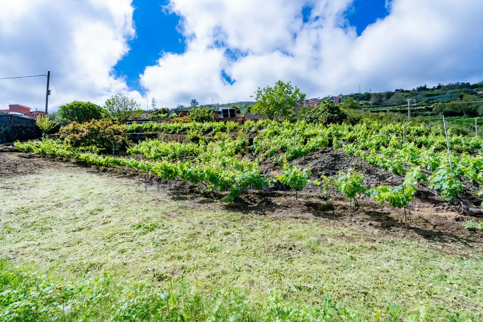 Casa rústica con jardín en venta en La Perdoma - San Antonio - Benijos, imagen 43