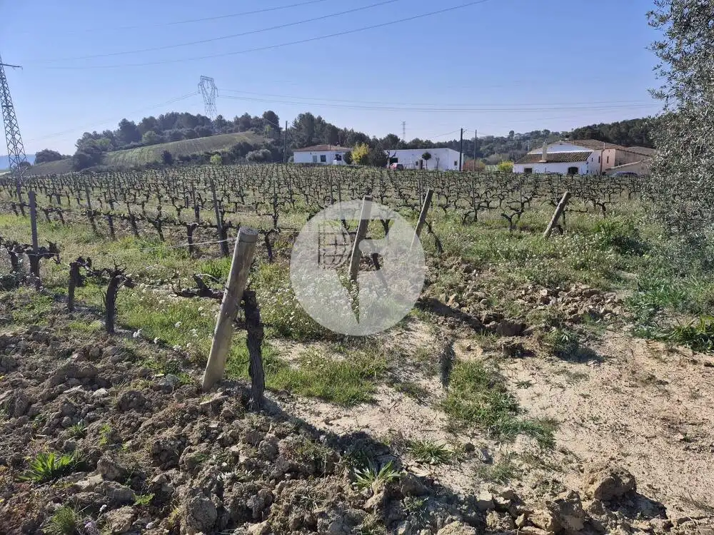 Casa rústica en venda a Sant Martí Sarroca, imagen 18