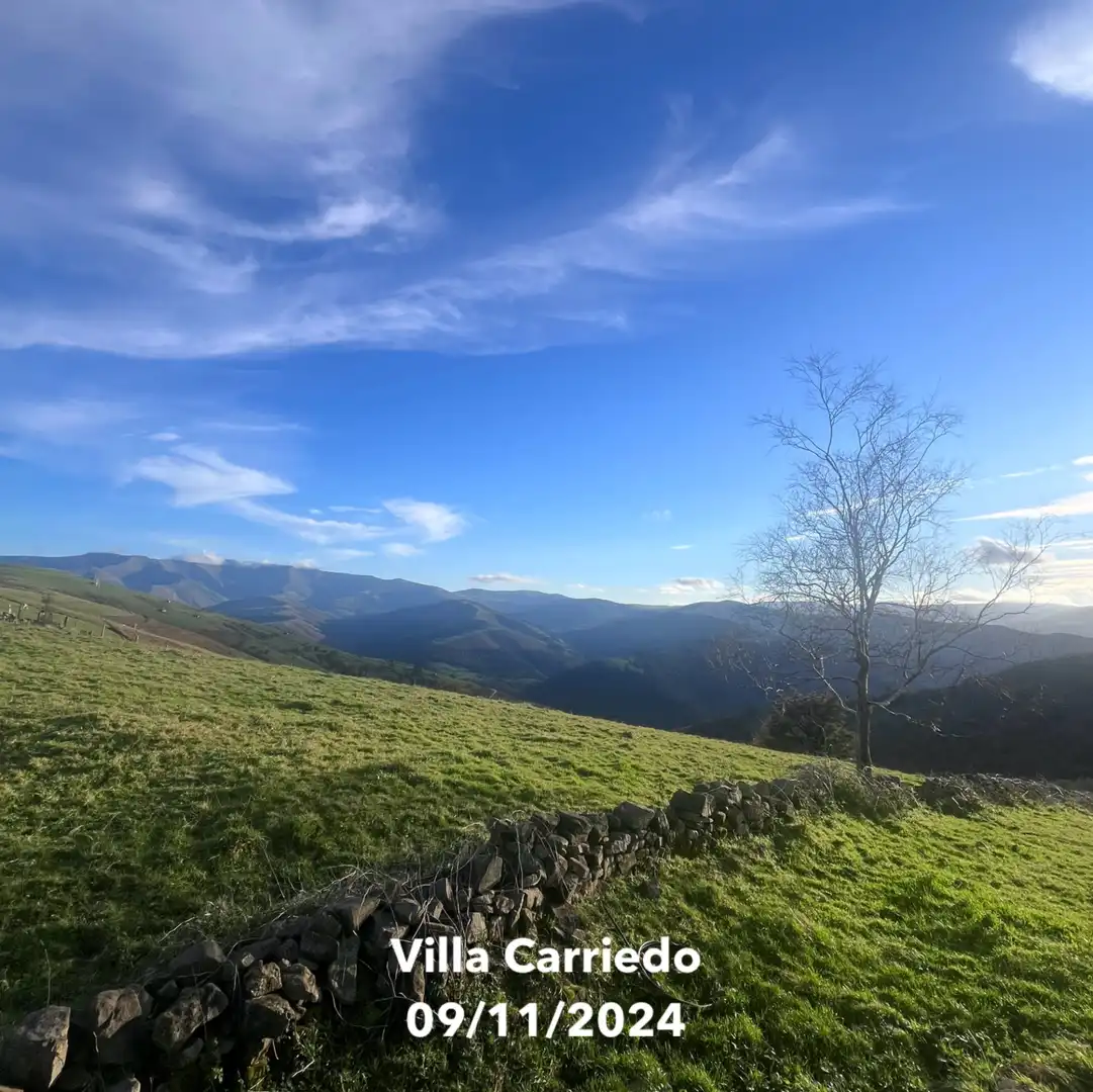 Vista exterior de Finca rústica en venta en Villacarriedo con Jardín privado