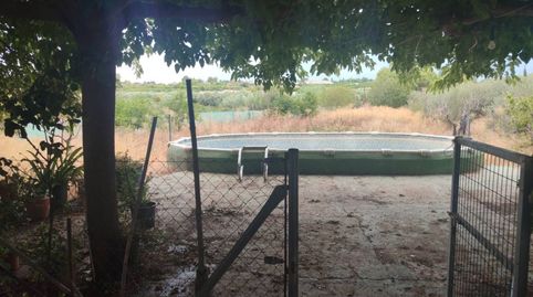 Foto 3 de Finca rústica en venta en Calle Campo de Arriba, Las Torres de Cotillas, Murcia
