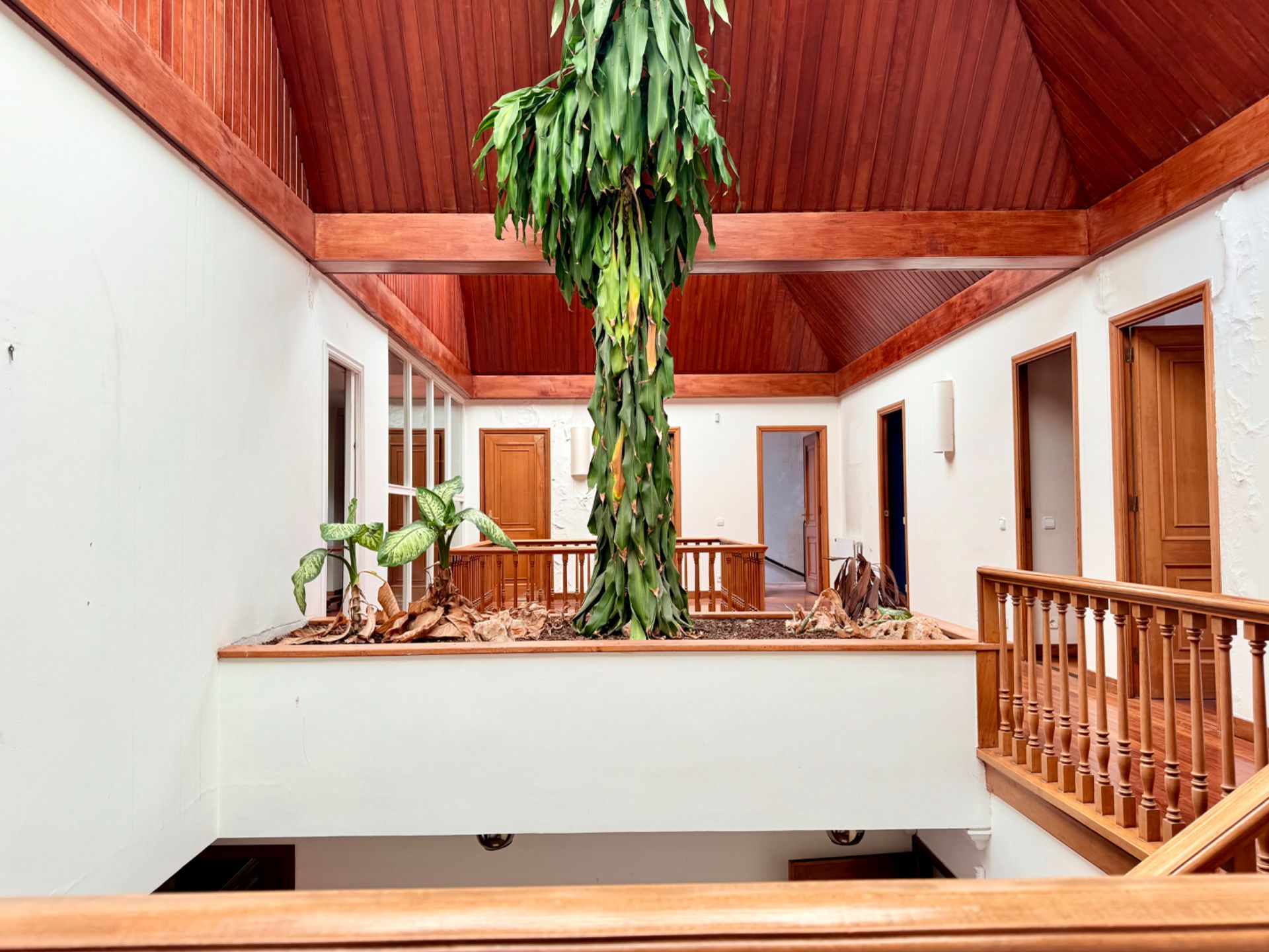 Casa o chalet en venta en Vigo  con Aire acondicionado, Calefacción y Jardín privado