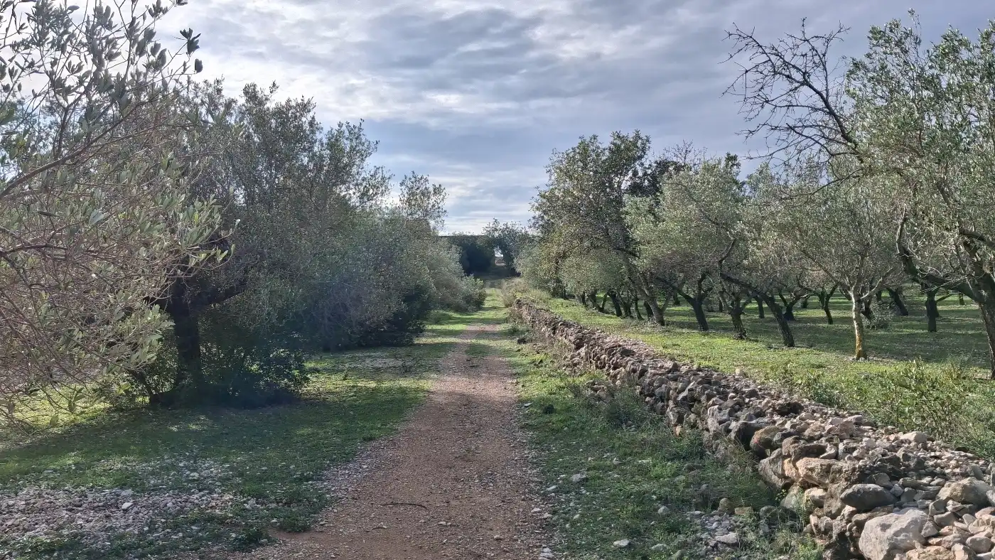 Finca rústica en venta en L'Ampolla
