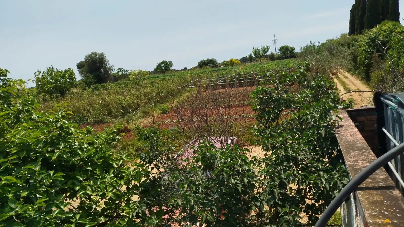 Finca rústica en venda en Sabadell