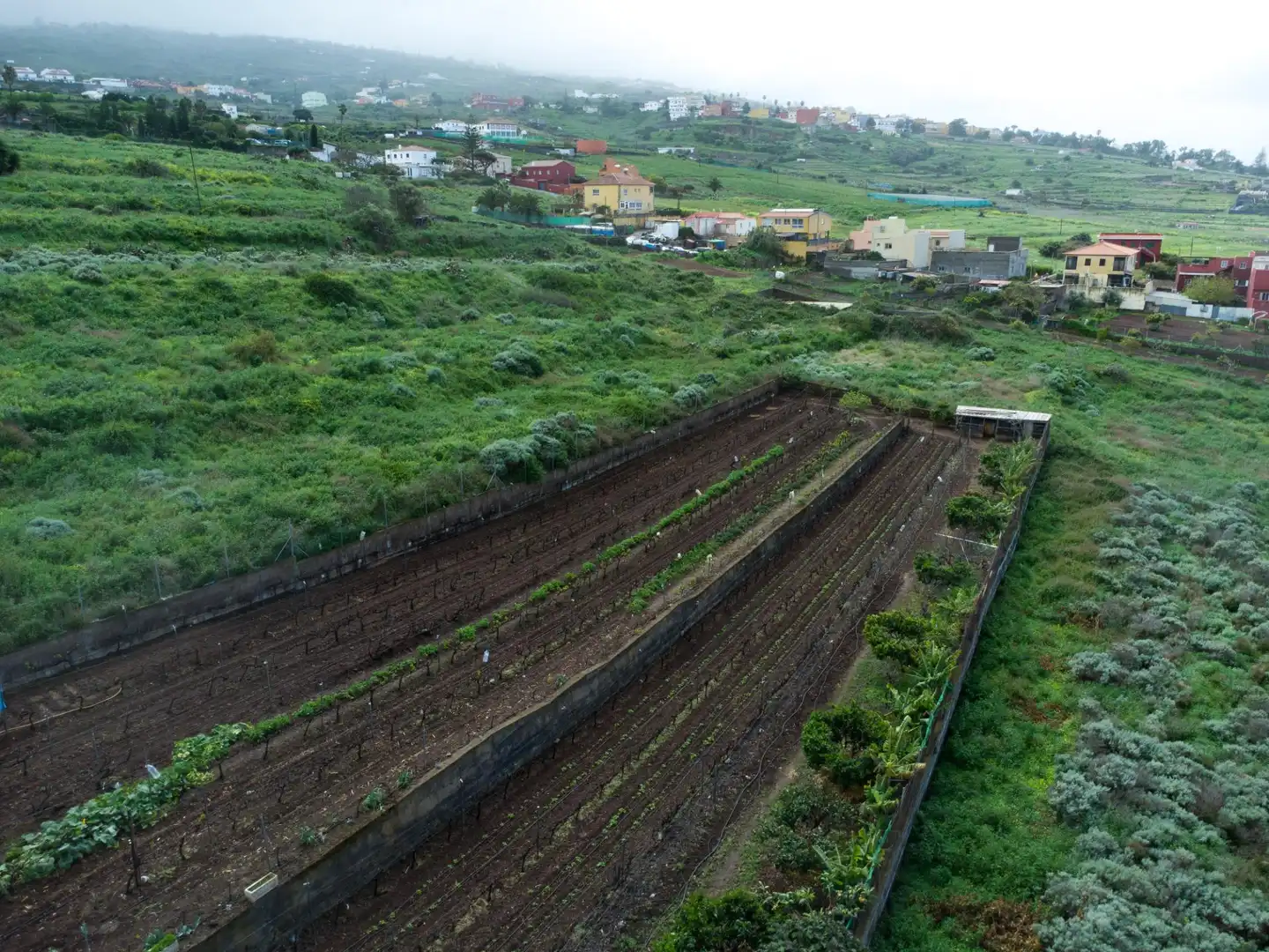 Finca rústica en venta en El Sauzal