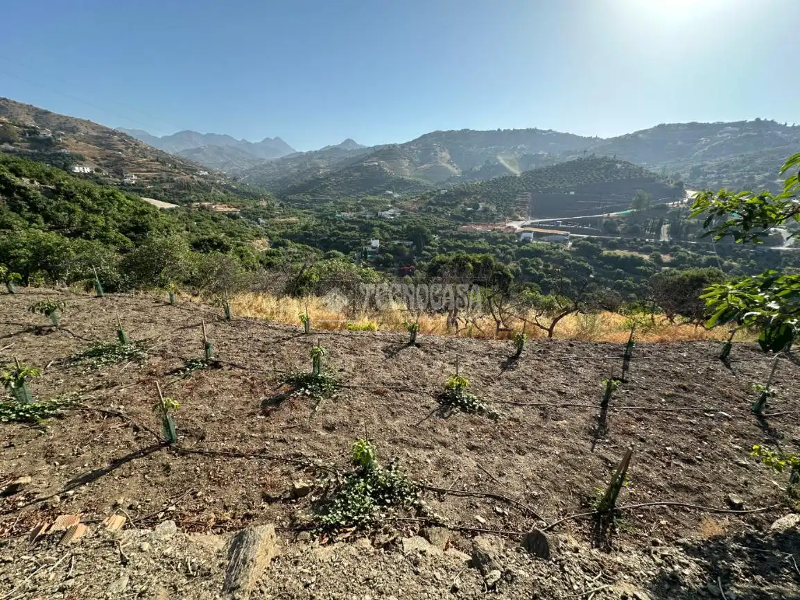 Terreni e lotti in vendita a Torrox Pueblo, imagen 13