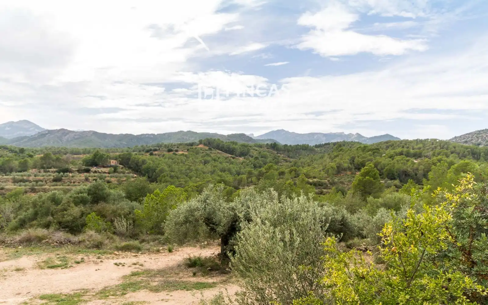 Finca rústica en venta en Benifallet con Trastero y Amueblado