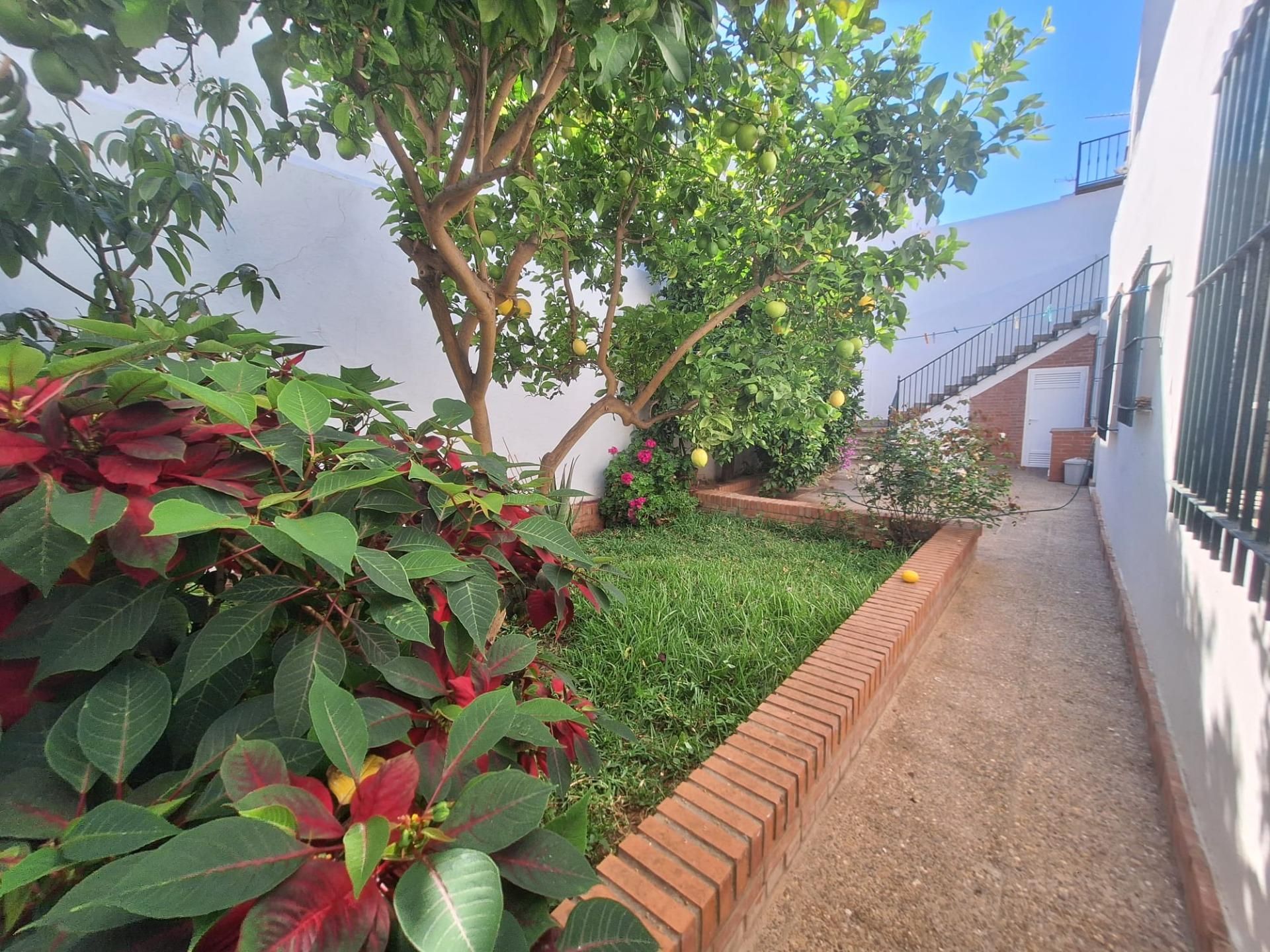 Garden of House or chalet for sale in Chiclana de la Frontera  with Terrace