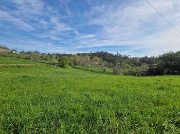 Terreni e lotti in vendita a Área de Ames