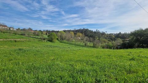 Immagine 1 dell'annuncio