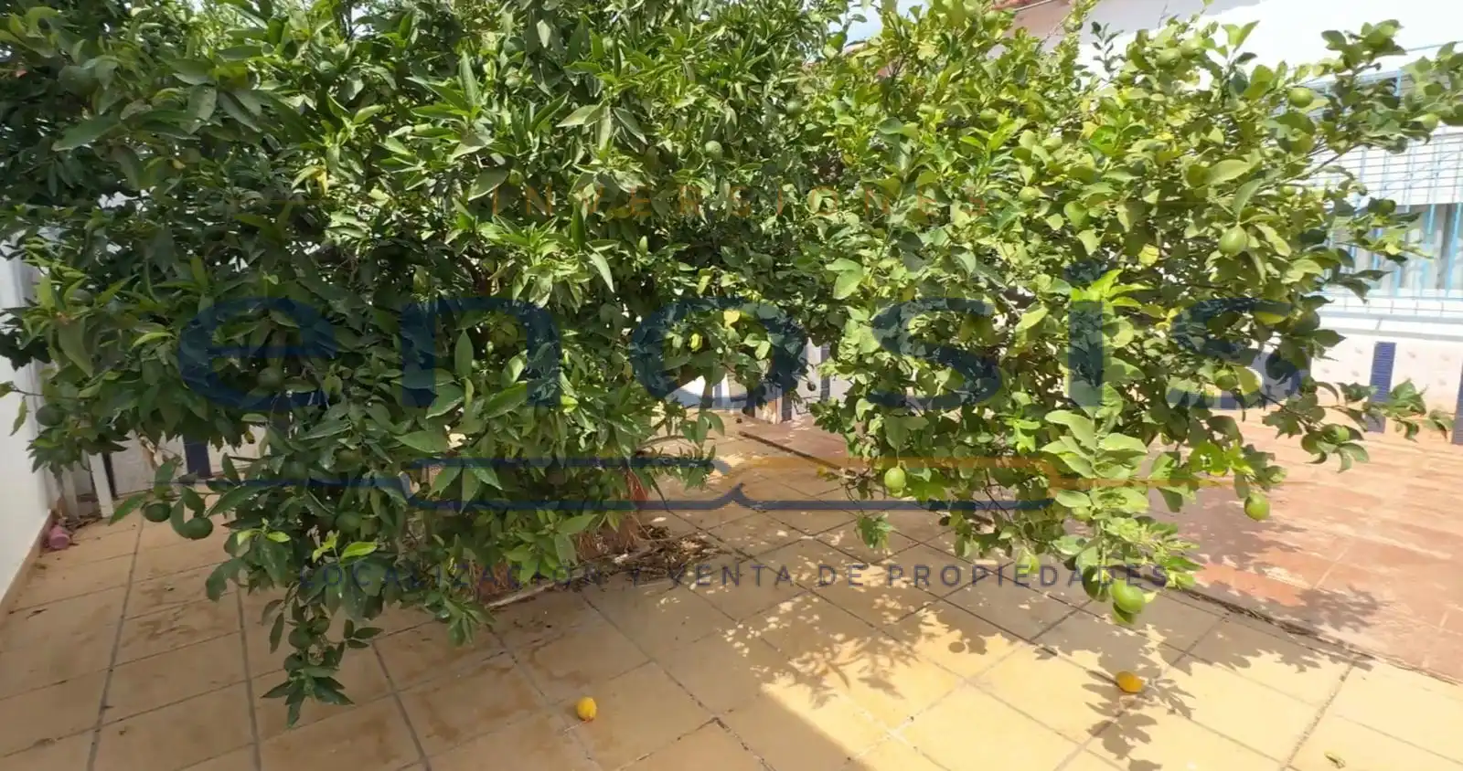 Terrace of Houses for sale in Torre-Pacheco