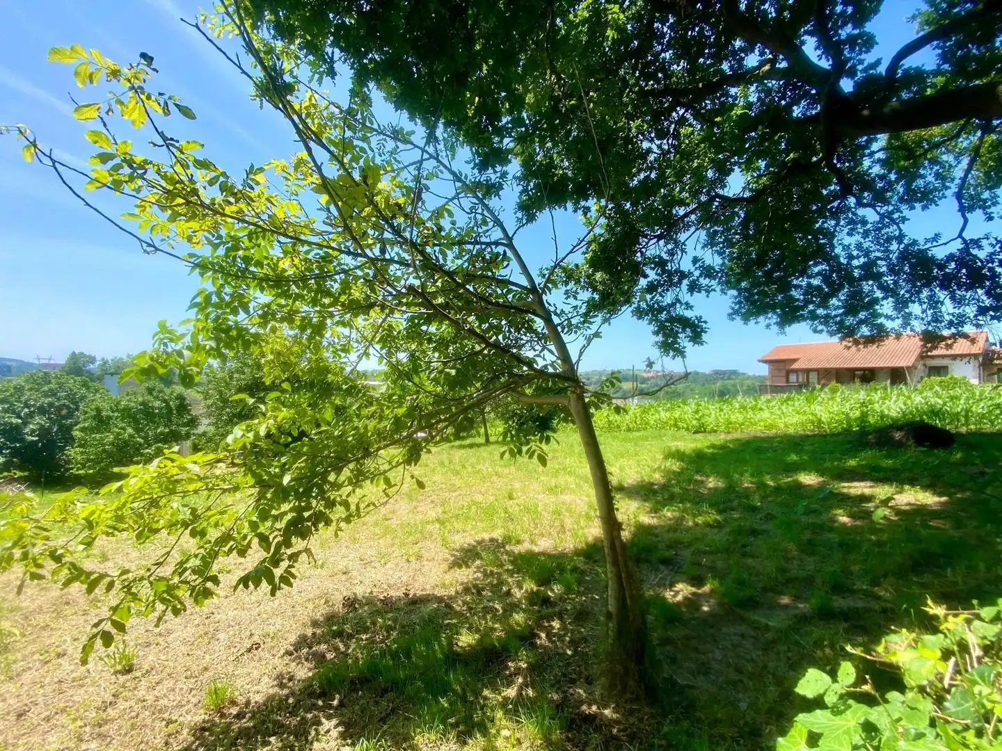 Terreni e lotti in vendita a Reocín, imagen 6