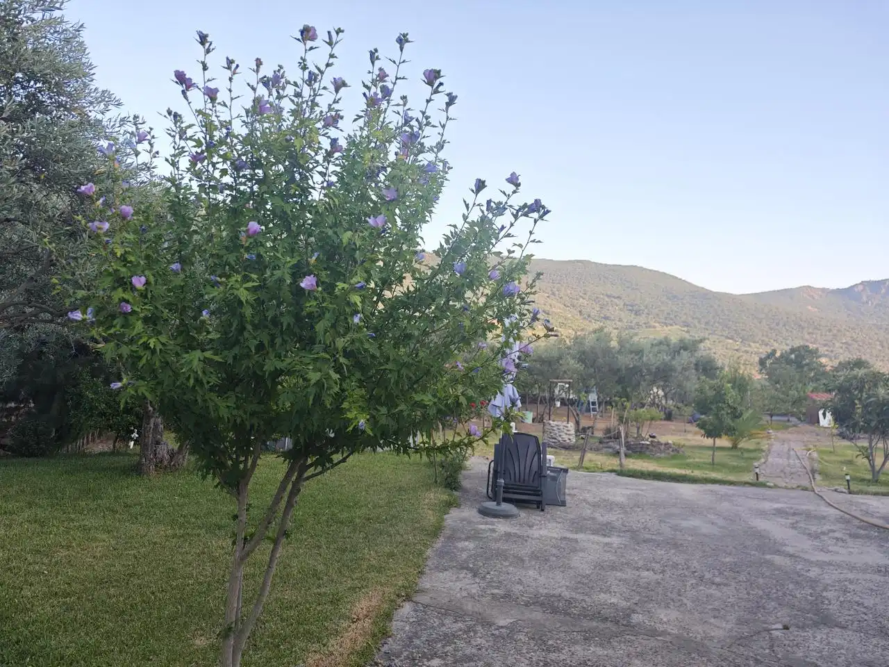 Casa o chalet en venta en El Torno
