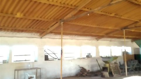 Foto 3 von Fabrikhallen zum Verkauf in Rambla de las Viñas, Dólar, Granada
