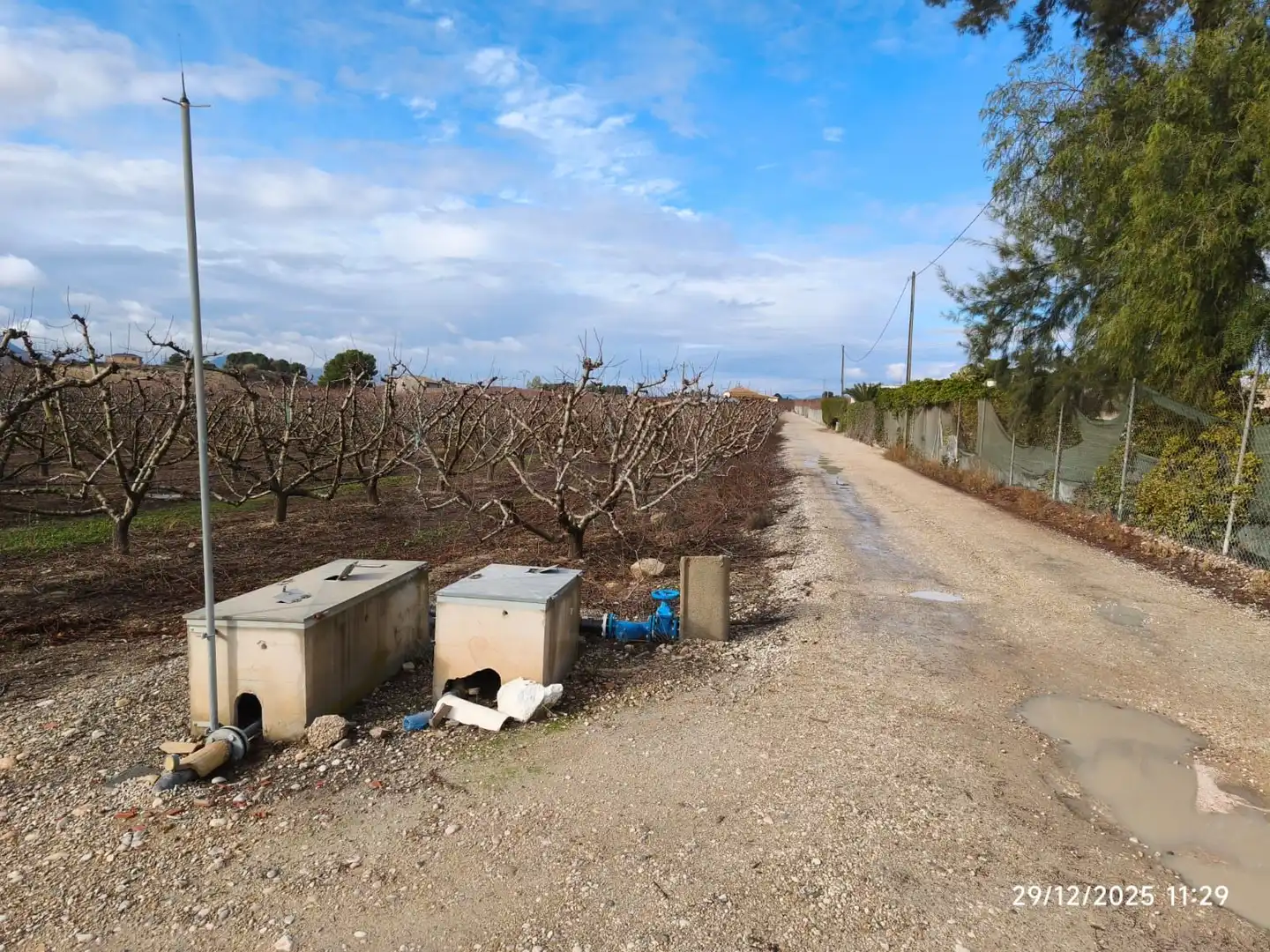 Terreno rústico en venta en Cieza, imagen 9