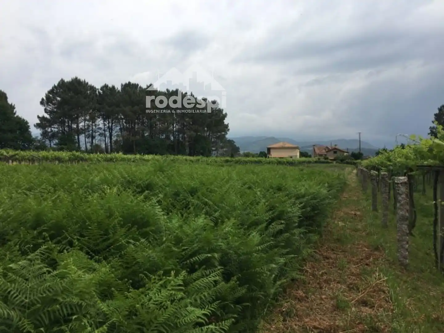 Terrain rustique à vendre à As Neves