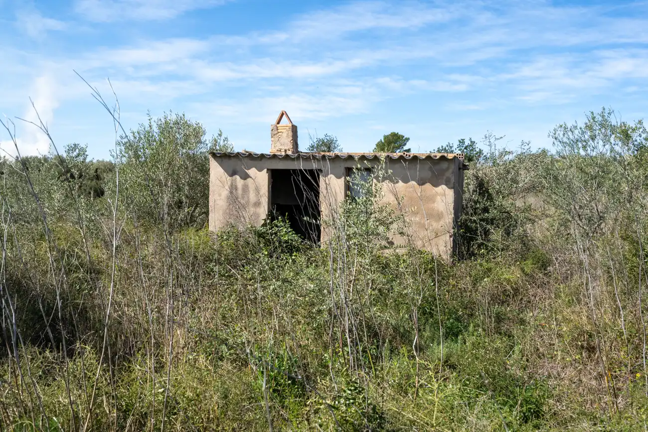Rustikales Grundstück zum Verkauf in Ulldecona, imagen 6