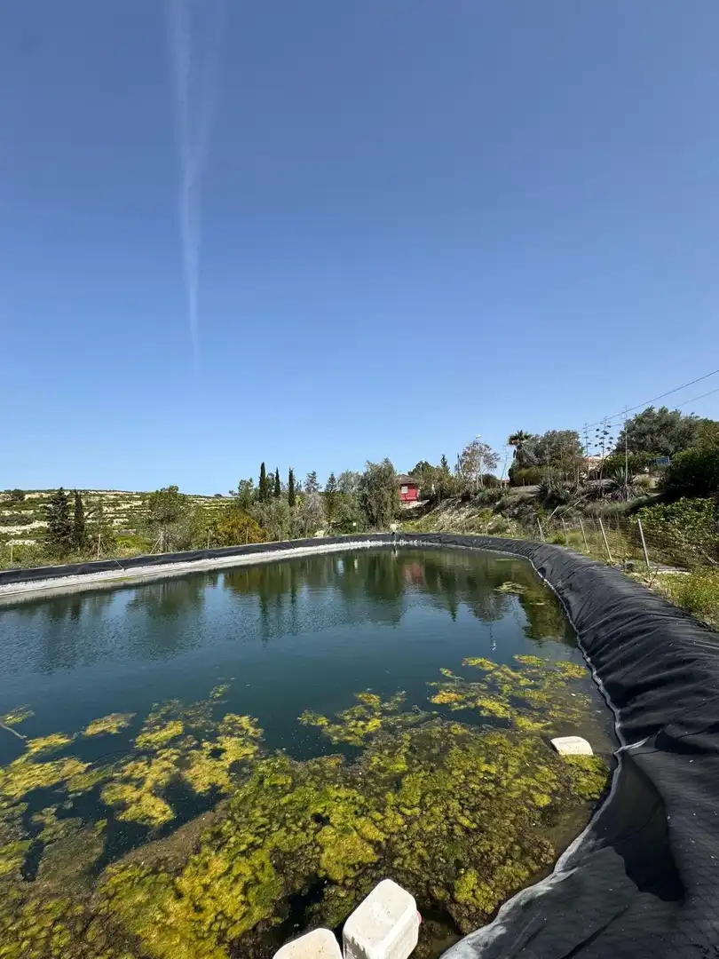 Piscina de Finca rústica en venta en Rafal con Amueblado