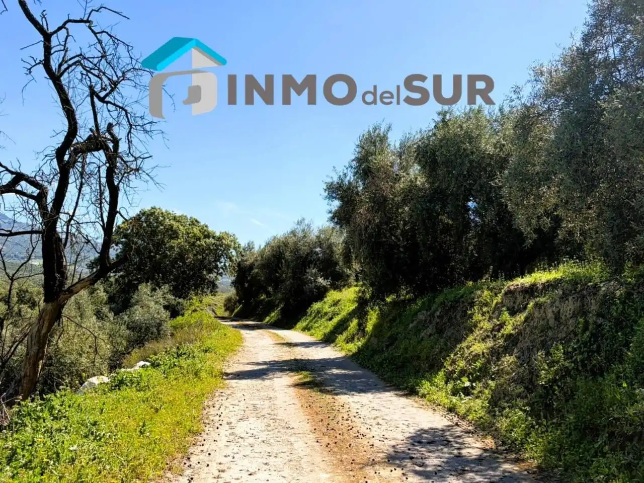 Terreno rustico in vendita a Carretera Lucena-Doña Mencía, imagen 15