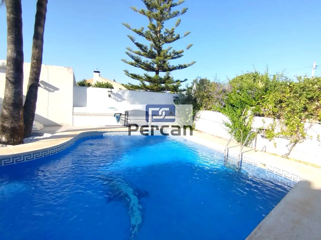 Piscina de Casa o xalet en venda en El Campello amb Aire condicionat, Jardí privat i Terrassa