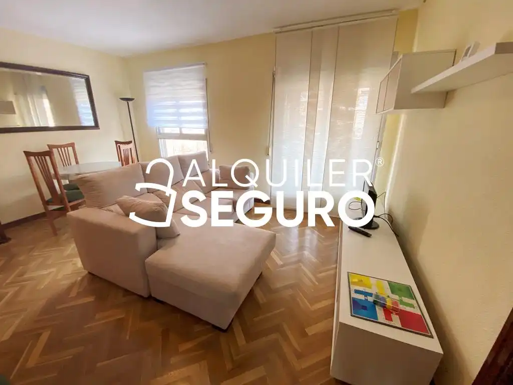 Living room of Flat for rent in Madrid  with Heating, Terrace and Furnished