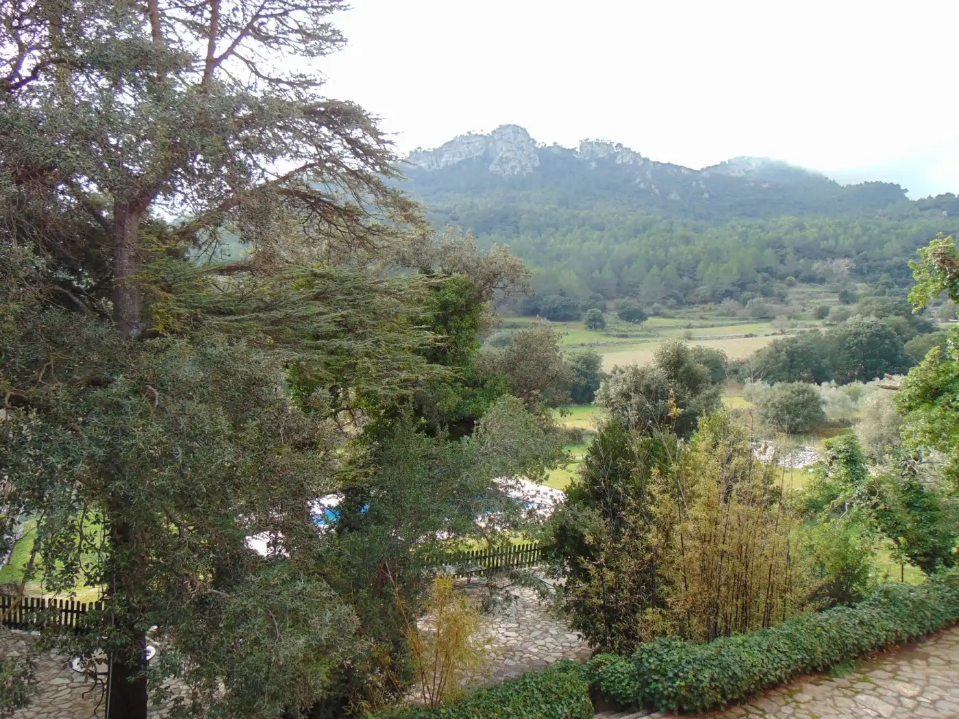 Garden of Country homes for sale in Bunyola  with Private garden, Terrace and Storage room