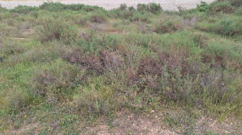 Foto 5 de Terreno en venta en Vía Pista, Villamontes - Boqueres, San Vicente del Raspeig / Sant Vicent del Raspeig