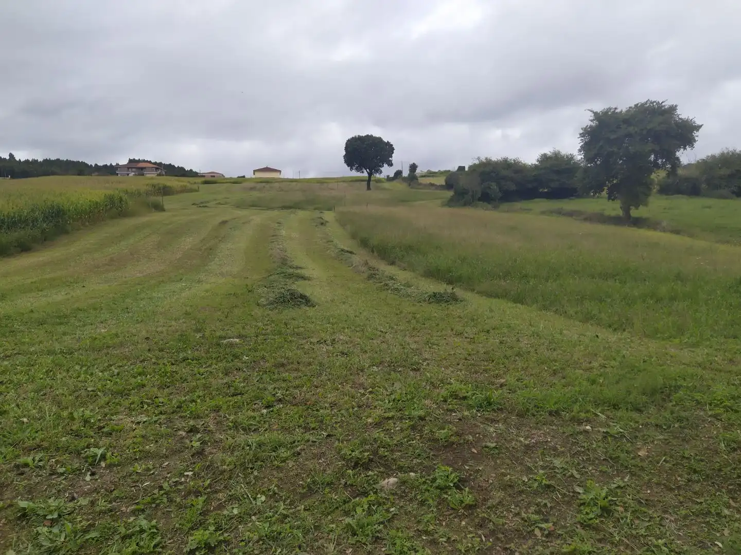 Terreny residencial en venda a Barrio el Mazo 29