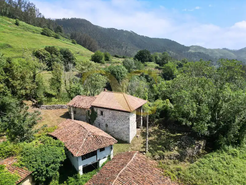 Exterior view of Houses for sale in Parres  with Private garden