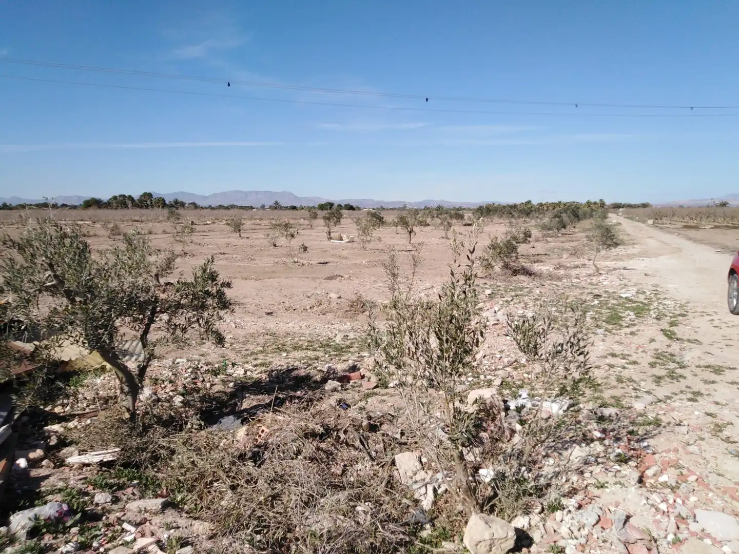 TERRENO EN LA HOYA, imatge 3