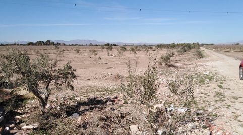 TERRENO EN LA HOYA, imatge 3