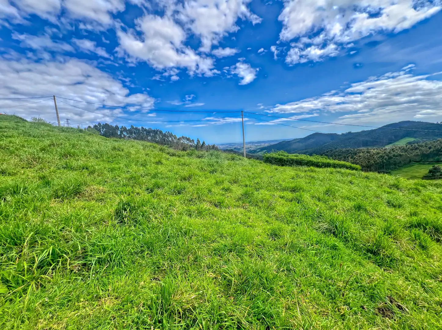 Lands and plots for sale in Pillarno, imagen 7