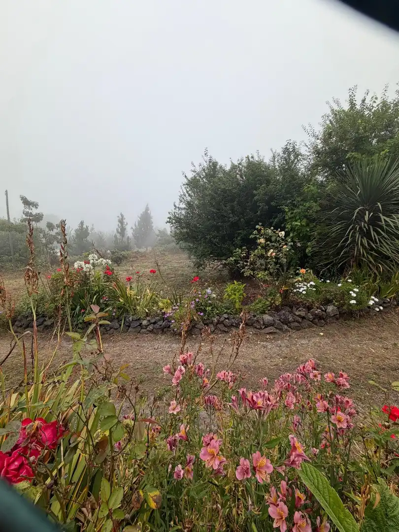 Terreno rustico in vendita a El Bebedero - Pinolere - Aguamansa, imagen 19