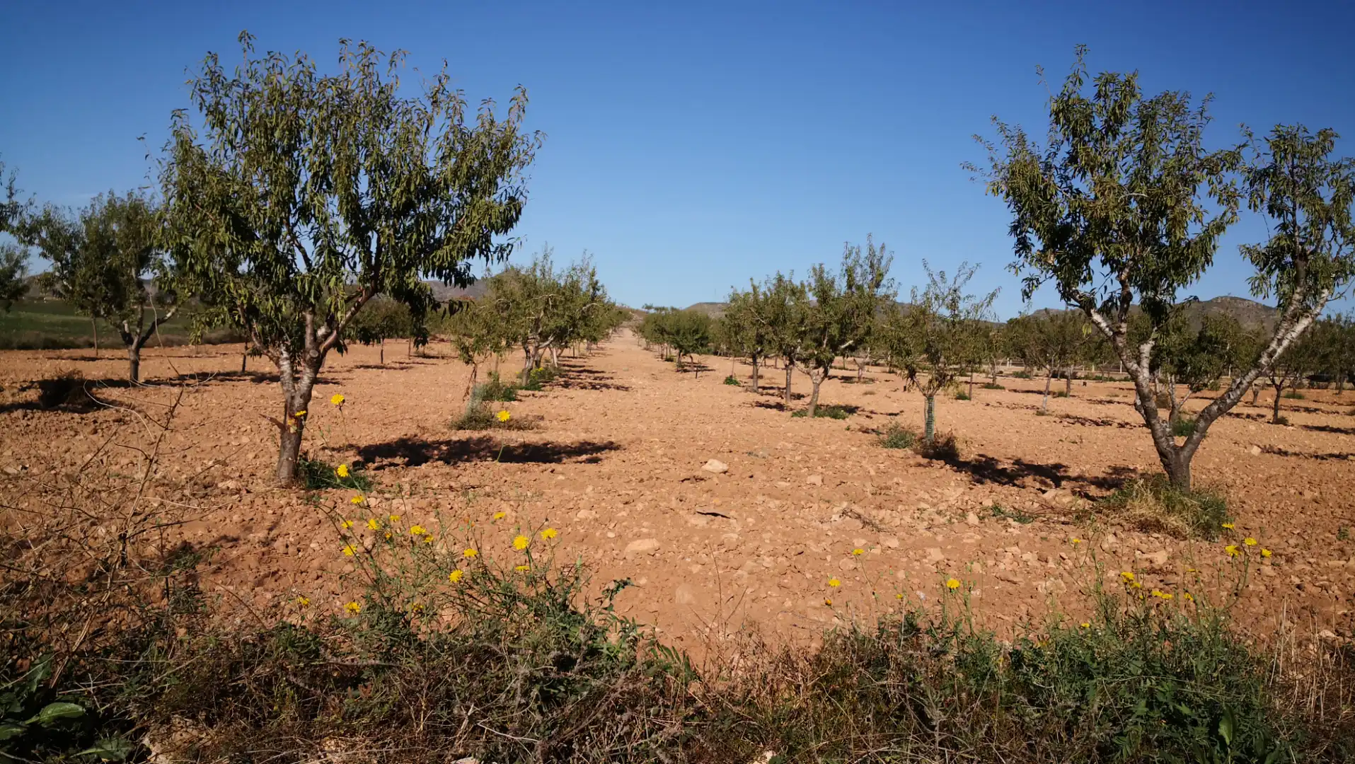 Rustikales Grundstück zum Verkauf in Pasaje Castillejos 5