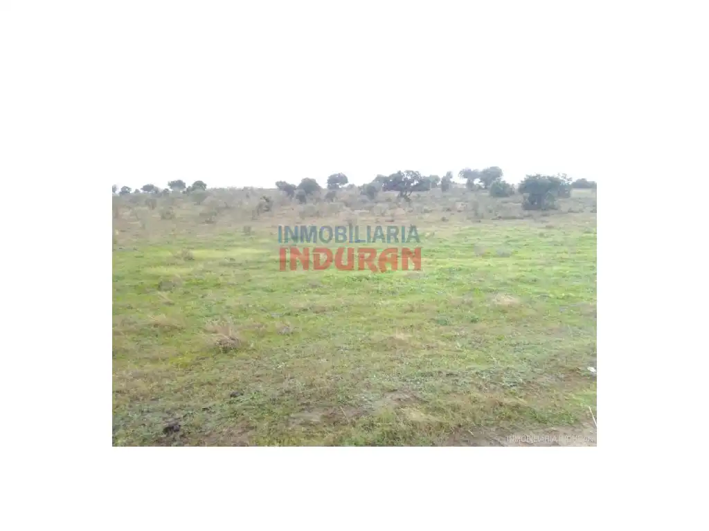 Casa en venda a Villar del Pedroso, imagen 7