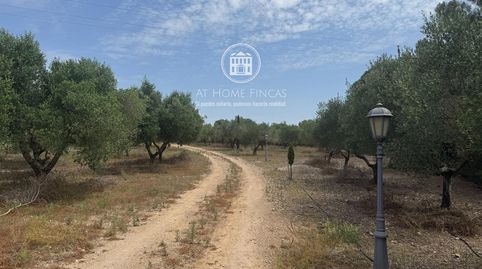 Foto 4 de Casa o chalet en venta en Polígono 7 Paraje 65 Junto a Cal Dentista, Banyeres del Penedès, Tarragona