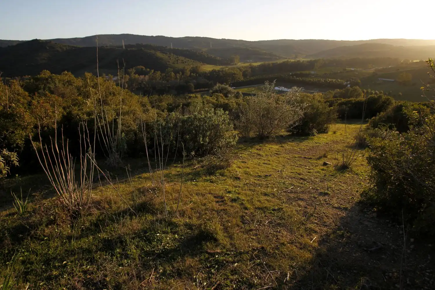 Maison rustique à vendre à San Martín del Tesorillo, imagen 43