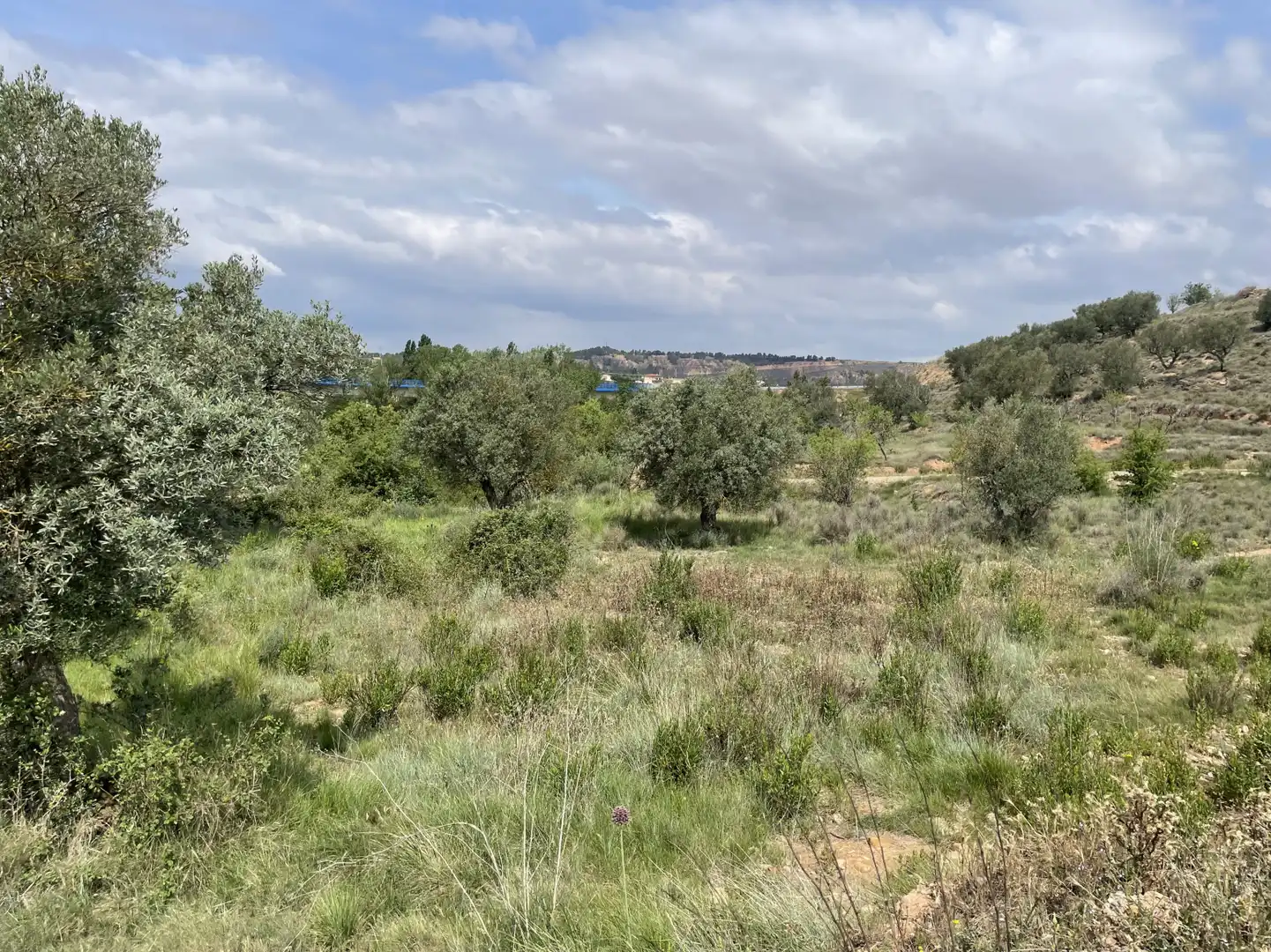 Rustikales Grundstück zum Verkauf in Murillo de Río Leza - EL QUIÑON, imagen 4