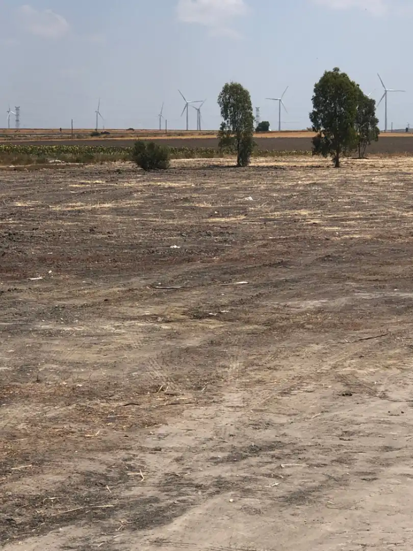 Rustikales Grundstück zum Verkauf in Avenida Carretera del Puerto 8, imagen 10