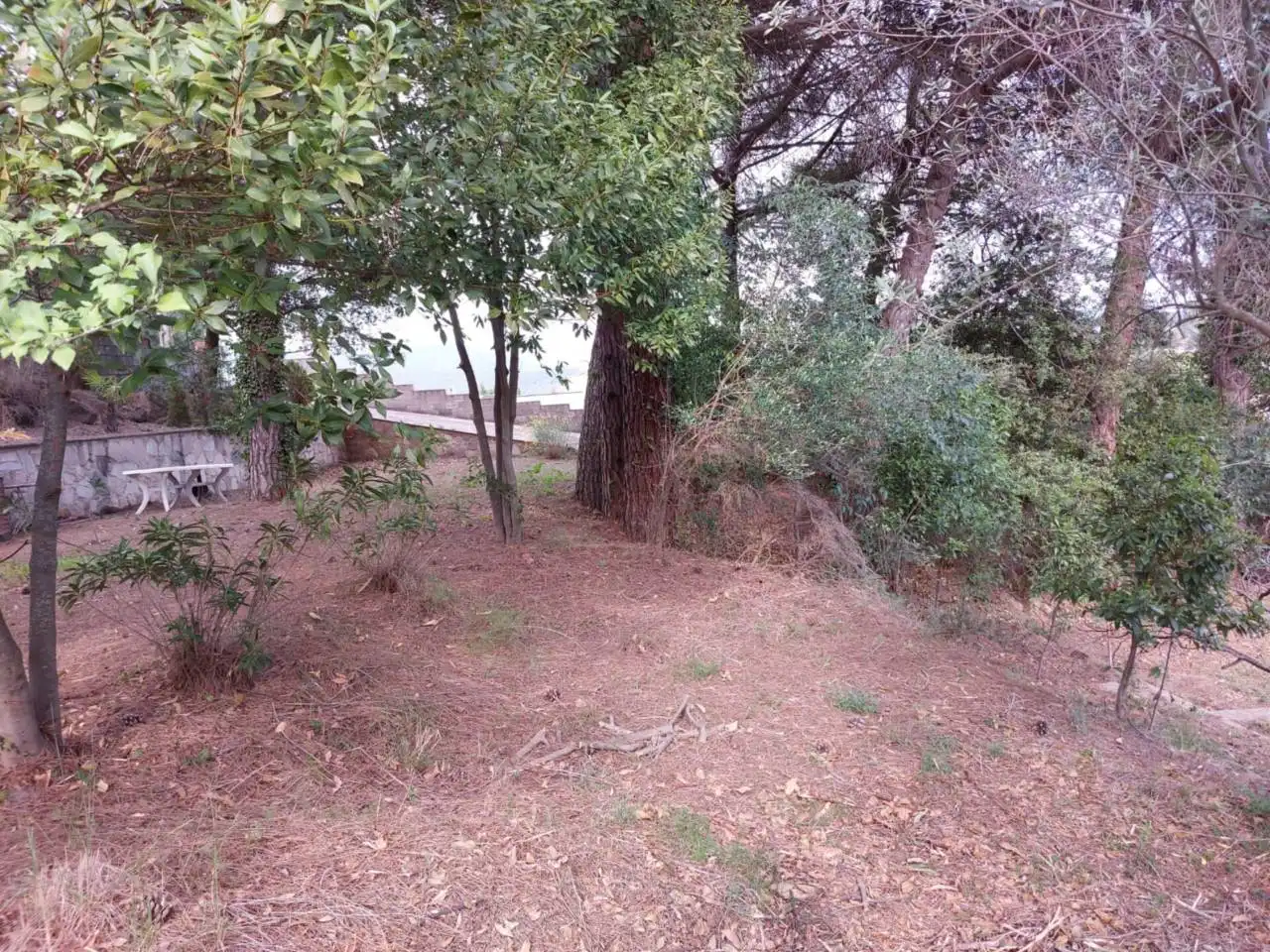 Residential land for sale in Calle Cova Simanya, imagen 5