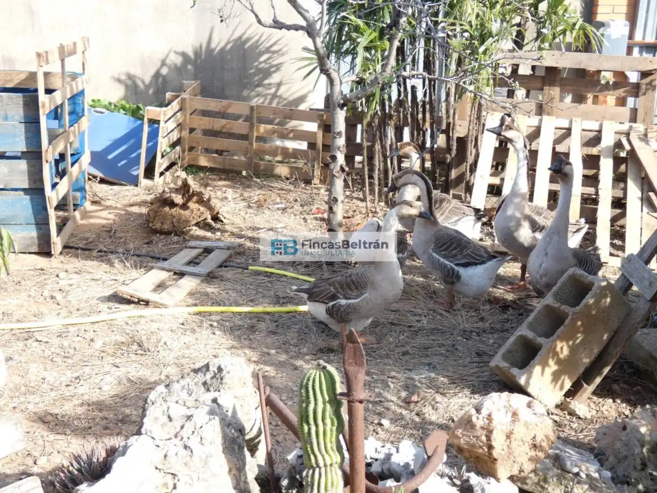 Jardí de Finca rústica en venda en Benicarló amb Jardí privat i Moblat