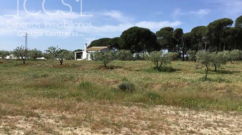 Foto 5 de Finca rústica en venta en Almonte ciudad, Almonte