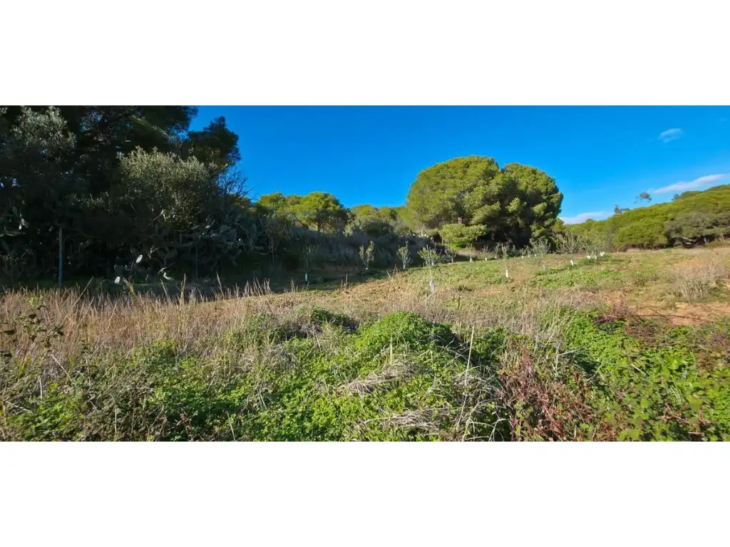 Terreni e lotti in vendita a Villablanca, imagen 5