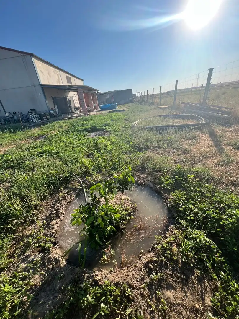 Finca rústica en venda en Los Palacios y Villafranca
